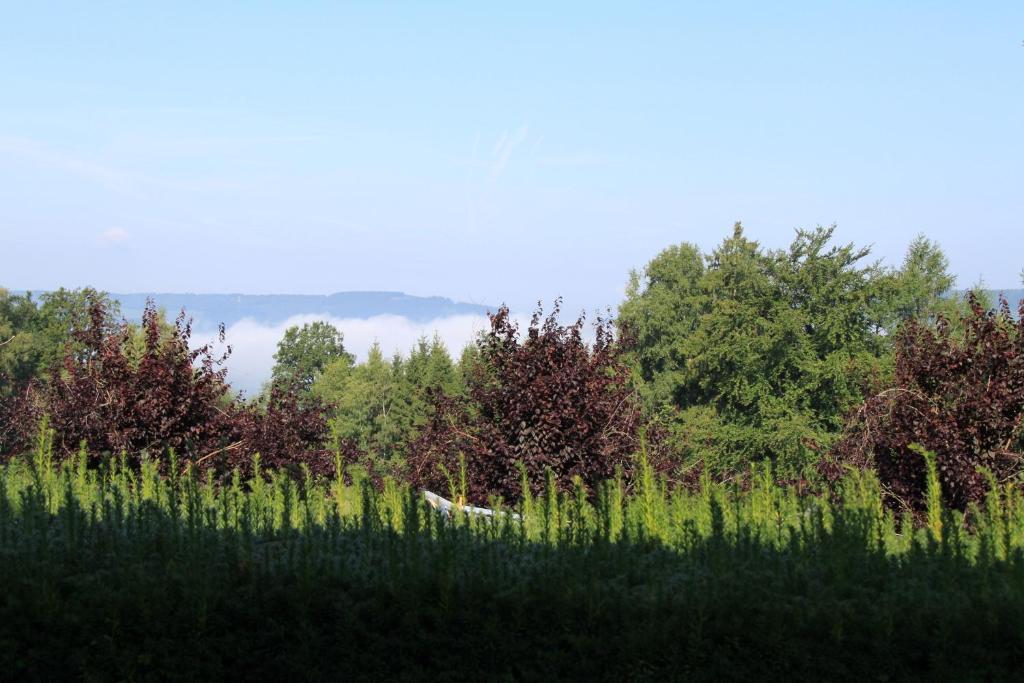B&B Sol Magnus Stavelot Zewnętrze zdjęcie